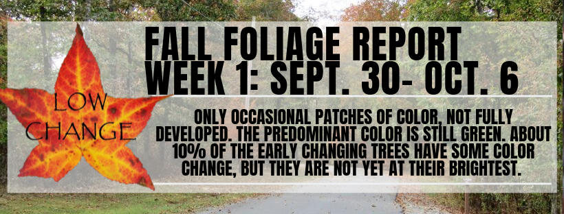 Fall Color Report
