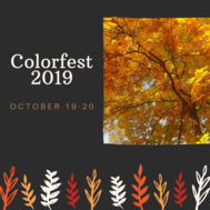 colorfest