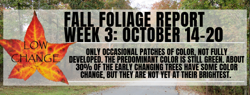 Fall Color Report Week 3