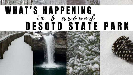 DeSoto State Park Email Header WINTER