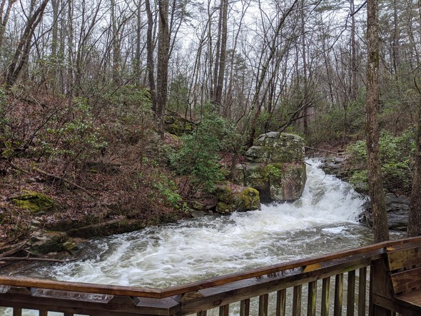 DSP Azalea Cascade flood