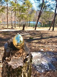 Cheaha Mountain Treasure Hunt Golden Egg