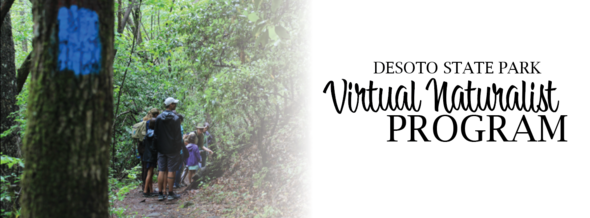 DSP Virtual Naturalist Programs