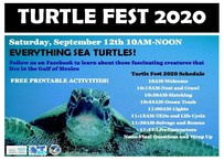 turtle fest
