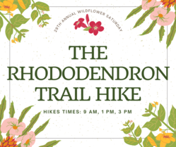 The Rhododendron Trail Hike- DSP