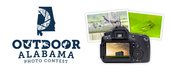 OA Photo Contest