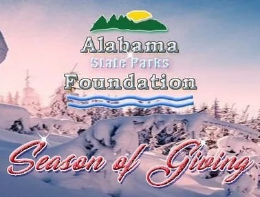 Foundation Season of giving