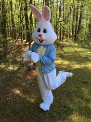 Easter Bunny