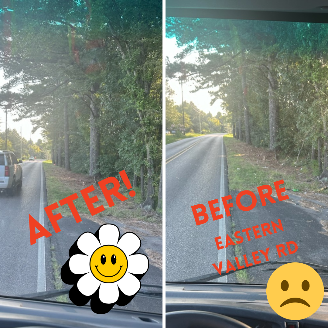 Before and after pictures on Eastern Valley Road for garbage pickup