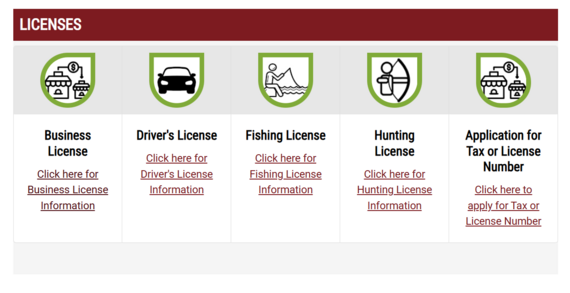 screenshot of Revenue Business License page