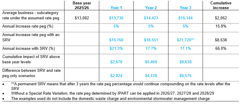 SRV business subcategory