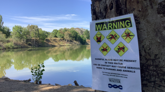 Warning sign on tree at water hole