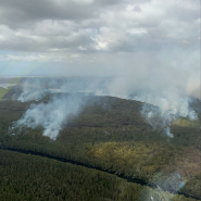 Bulahdelah Fire
