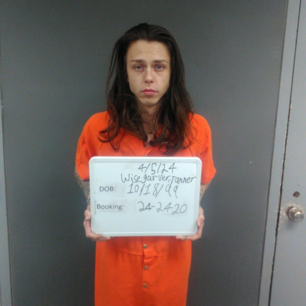 TANNER WISEGARVER, 24