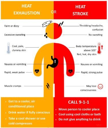Heat Warning Signs