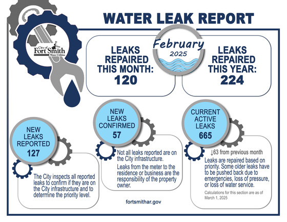 Feb leak report