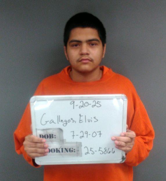 Elvis Gallegos, 18