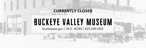 Buckeye Valley Library (Closed)