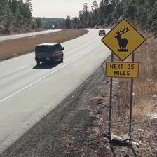 Watch for elk sign on Interstate 17