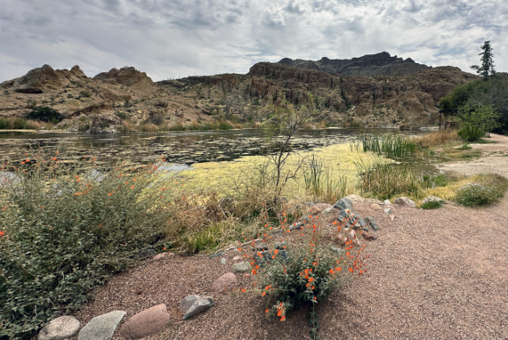 Ayer Lake at Boyce Thompson Arboretum