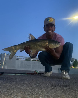 young man squatting down holding large carp during twilight