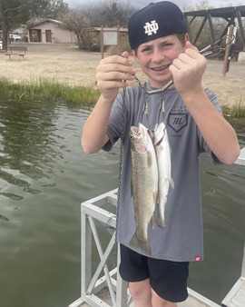 young man with baseball cap turned around and a smile full of braces holding multiple rainbow trout with a late winter forest in the background