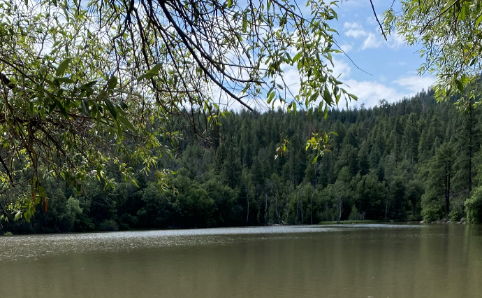 City Reservoir April Fishing Report 2025