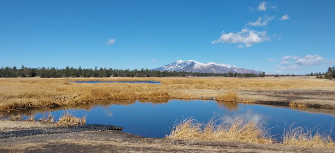 Marshall Lake April 2025 FR