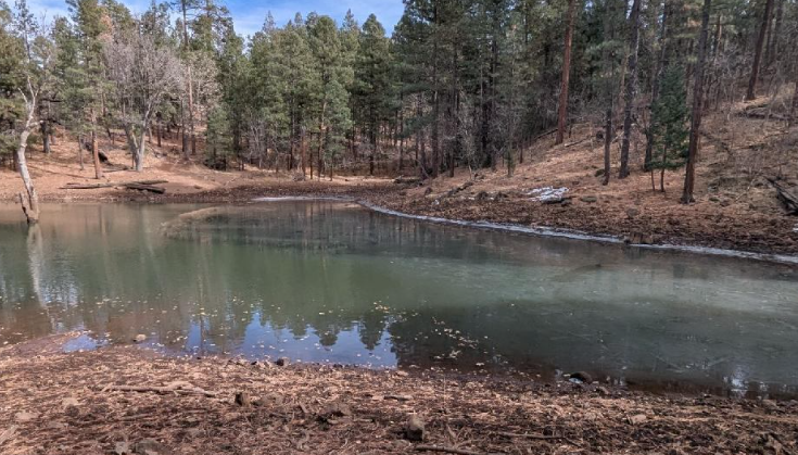 Huffer Tank April 2025 FR