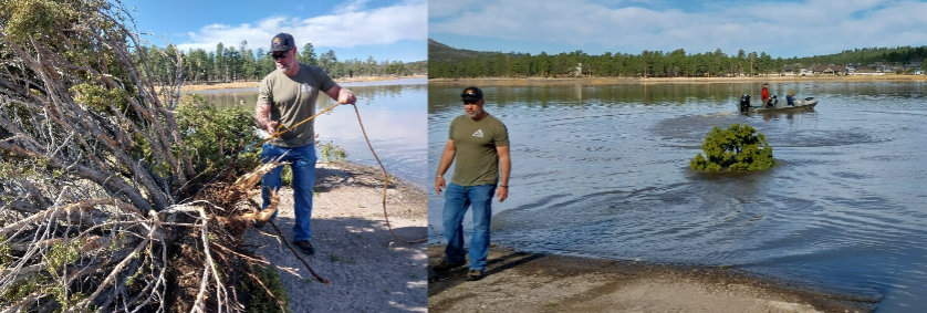 Cataract Lake Apr14 combined