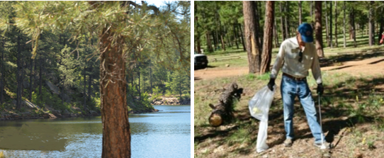 Woods Canyon combined stand_alone