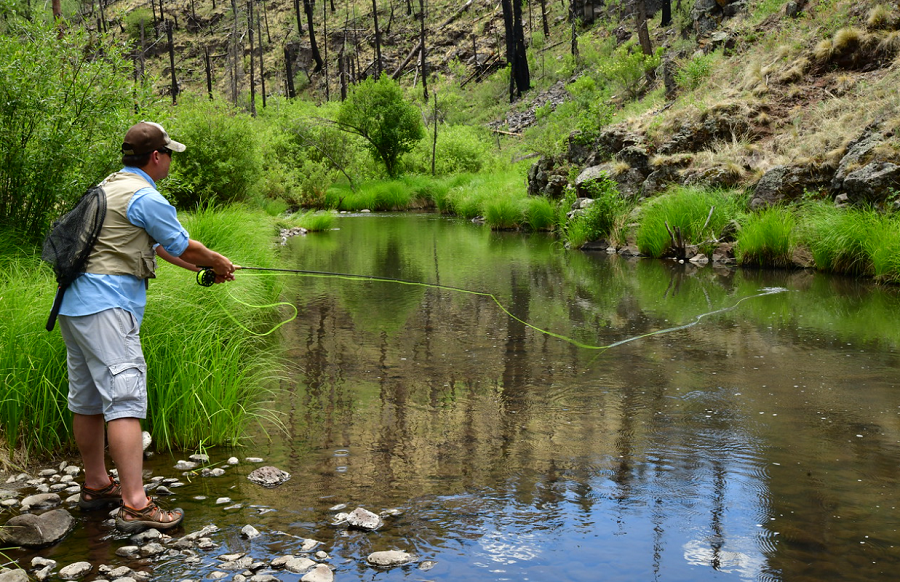 Chase fishing tips article_2