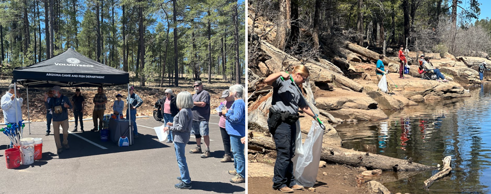 Woods Canyon combined