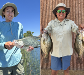 Tyler D Patagonia crappie