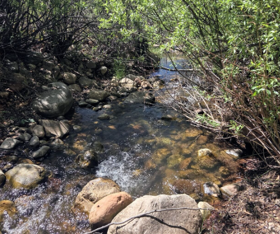 Section of Tonto Creek