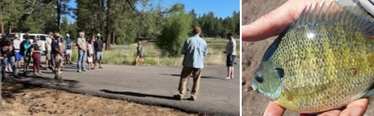 Whitehorse Lake fishing event combined