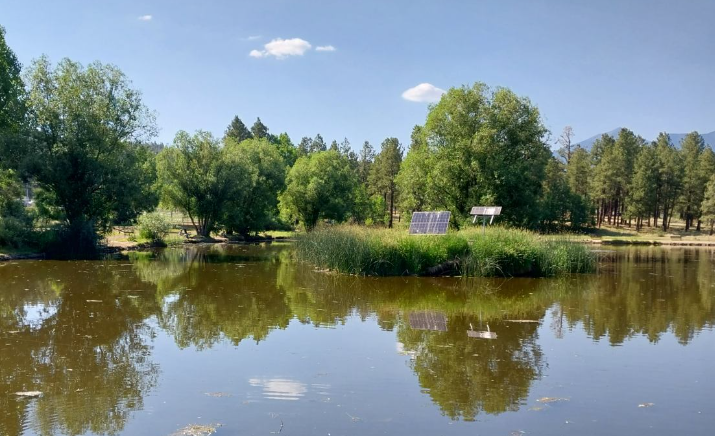 Frances Short updated