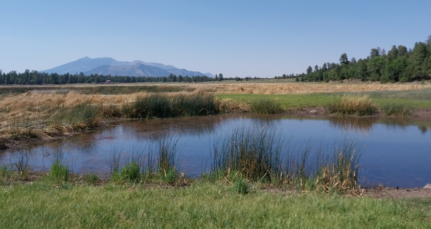 Marshall Lake revised