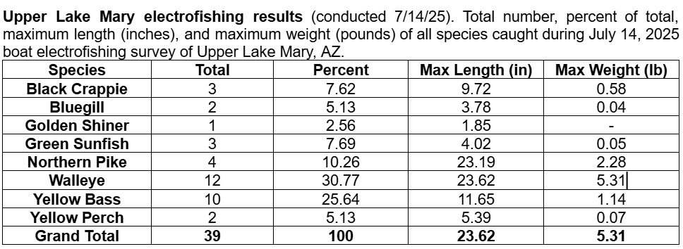 Upper Lake Mary electrofishing_2