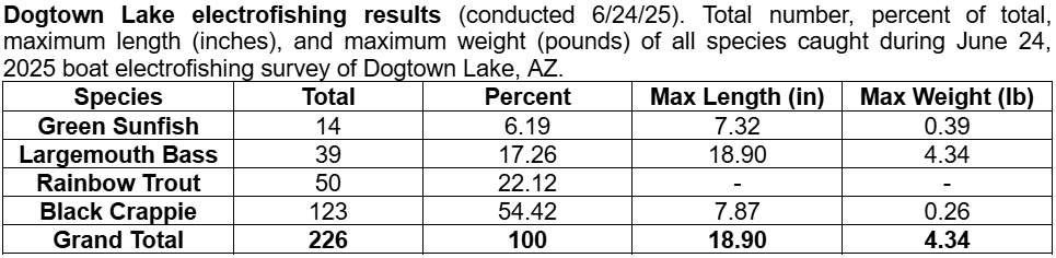 Dogtown Lake electrofishing results