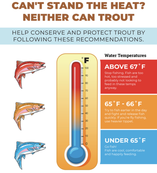 Trout temperature graphic