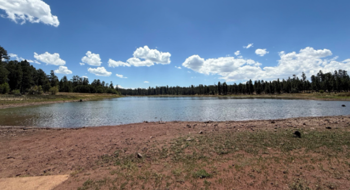 Whitehorse Lake Matt