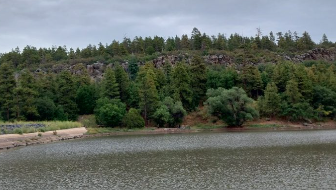 City Reservoir Sept 2025 FR