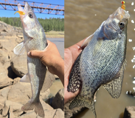 Upper Lake Mary Sept 2025 FR