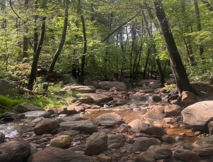 San Christopher Creek