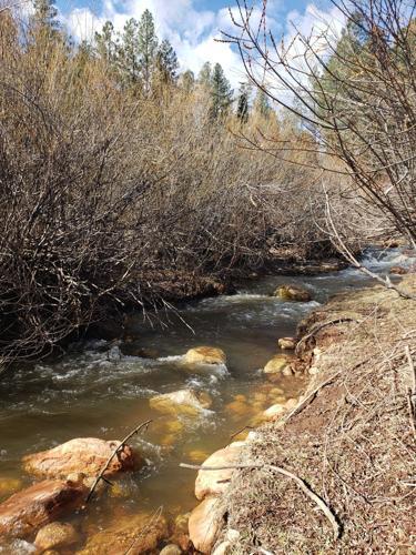 Jim Strogen article Tonto Creek