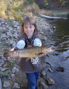 Brad H Gila monsters_2
