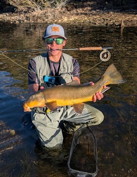 Kai E_2 Sonoran sucker