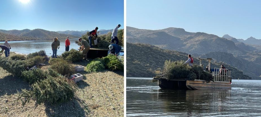 Combined Apache Lake Christmas Tree project