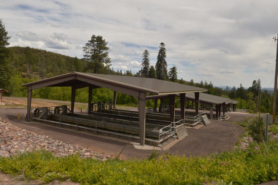 Tonto Creek Fish Hatchery